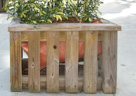 Carpenter built wood planter details