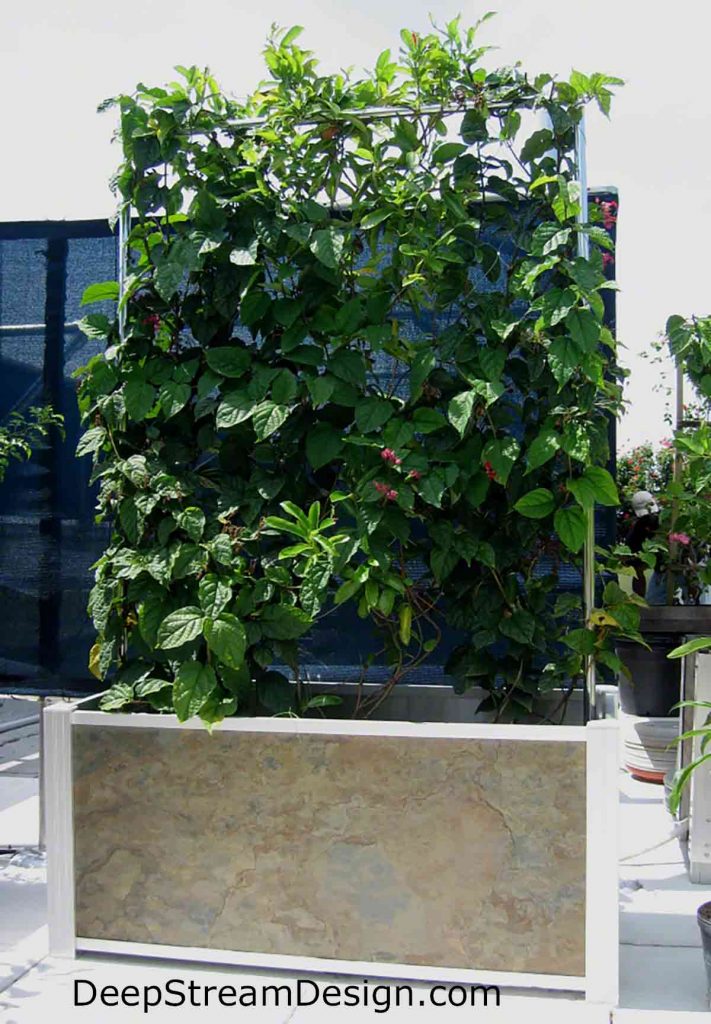 Click link to DeepStream website for more info on Modern Slate Planter with Trellis