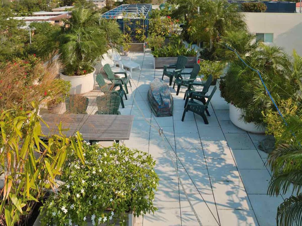 Roof top planters create a jungle that cools a building saving the penthouse 20% on electricity